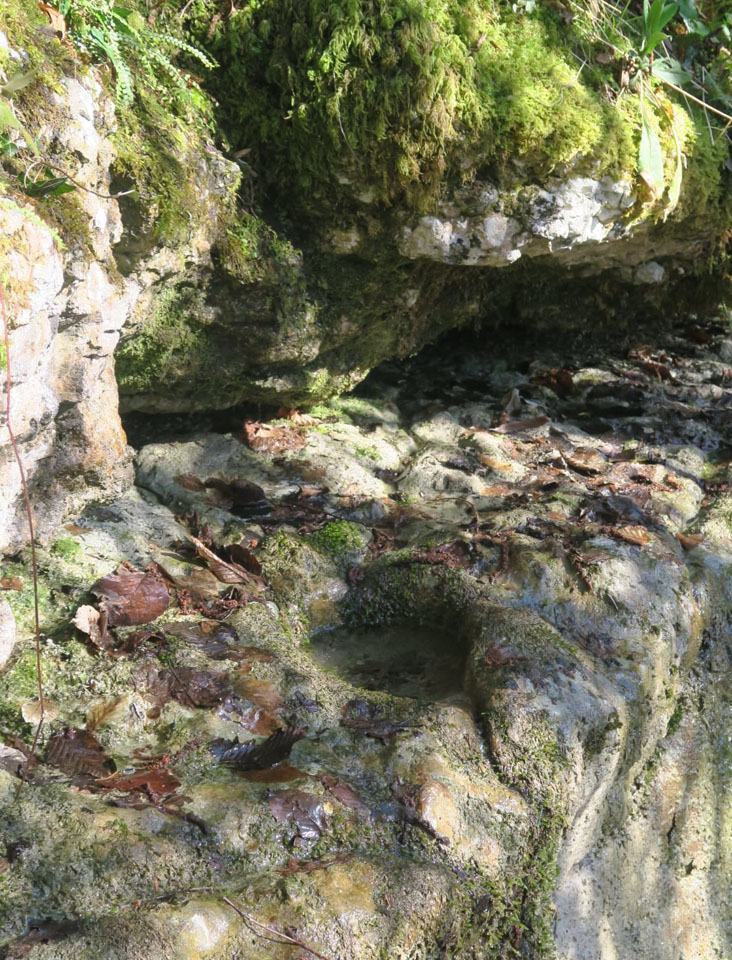 Photo de Vasseur(8)