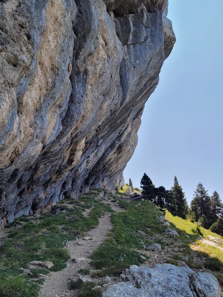 Photo de Vasseur(10)