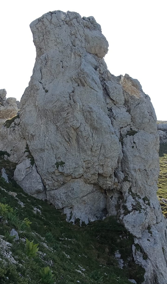Photo de Vasseur(25)
