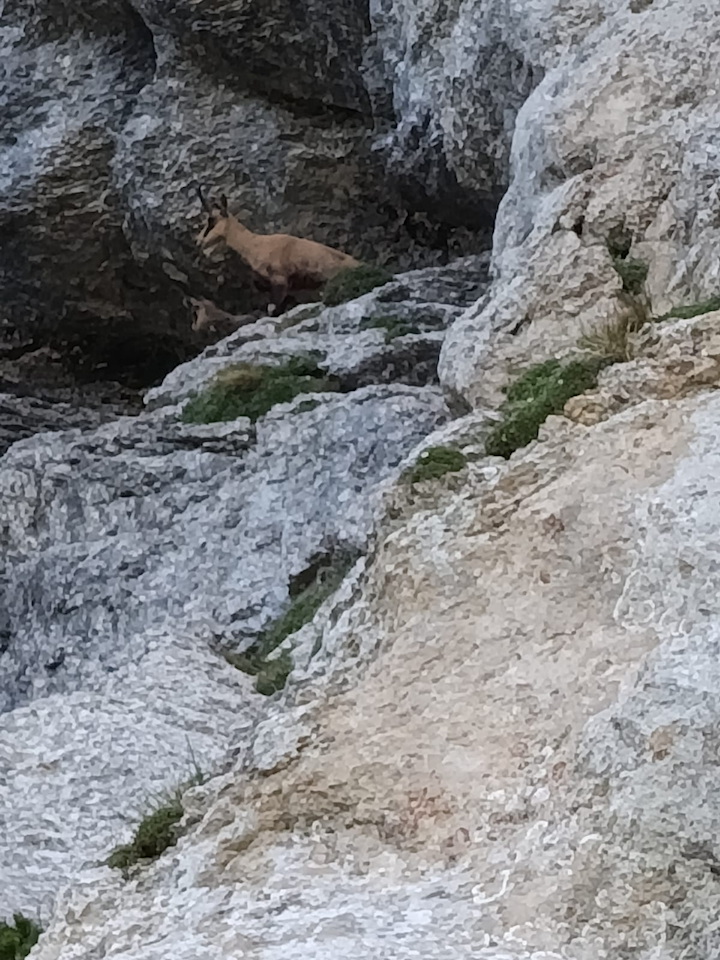 Photo de Vasseur(3)