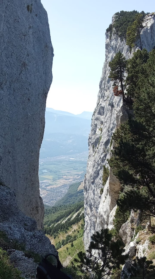 Photo de Vasseur(31)