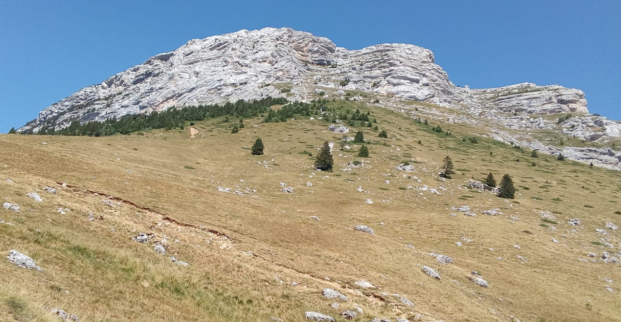 Photo de Vasseur(32)
