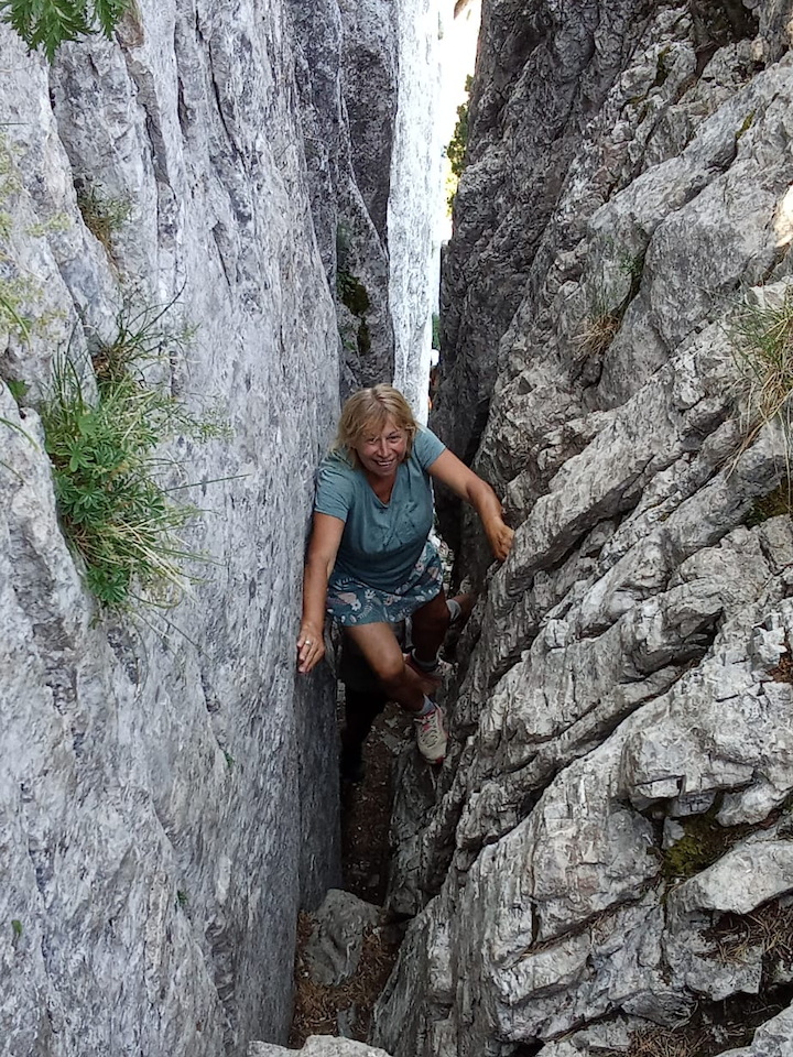 Photo de Vasseur(33)