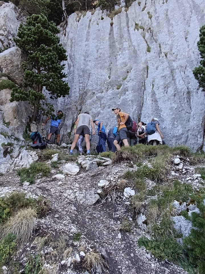 Photo de Vasseur(4)