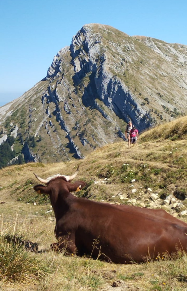 Photo de Vasseur(1)