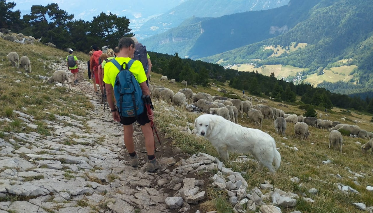 Photo de Vasseur(11)
