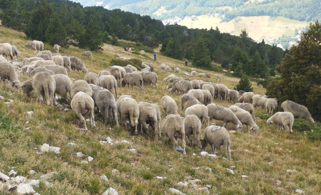 Photo de Vasseur(13)