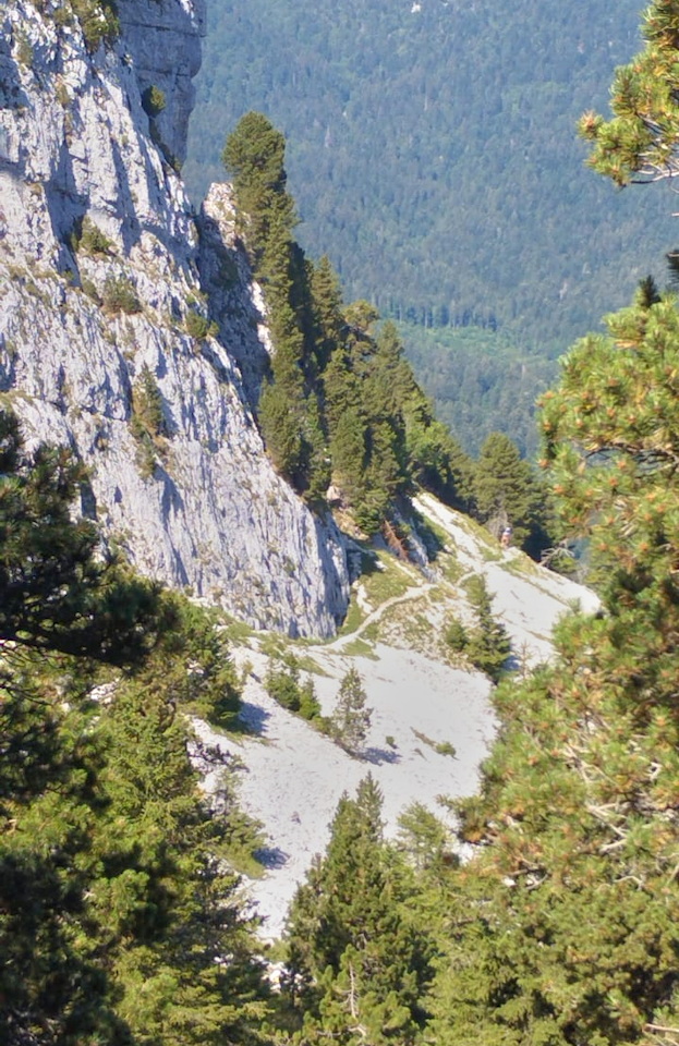 Photo de Vasseur(19)