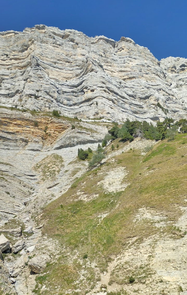 Photo de Vasseur(20)
