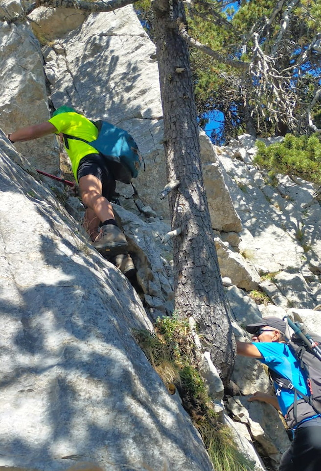 Photo de Vasseur(21)