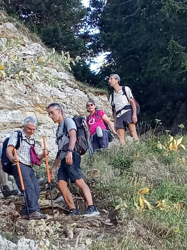 Photo de Vasseur(7)