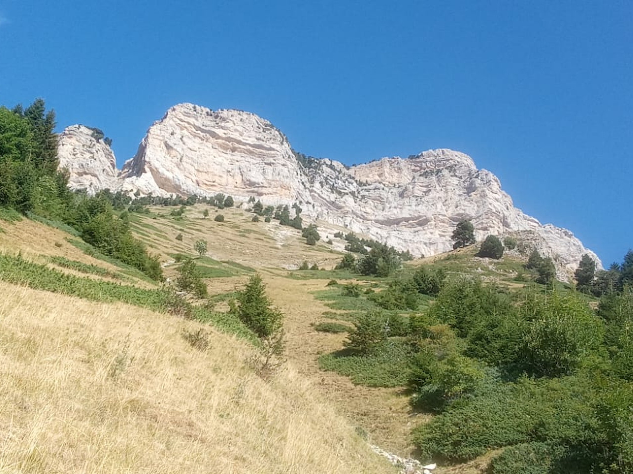Photo de Vasseur(9)