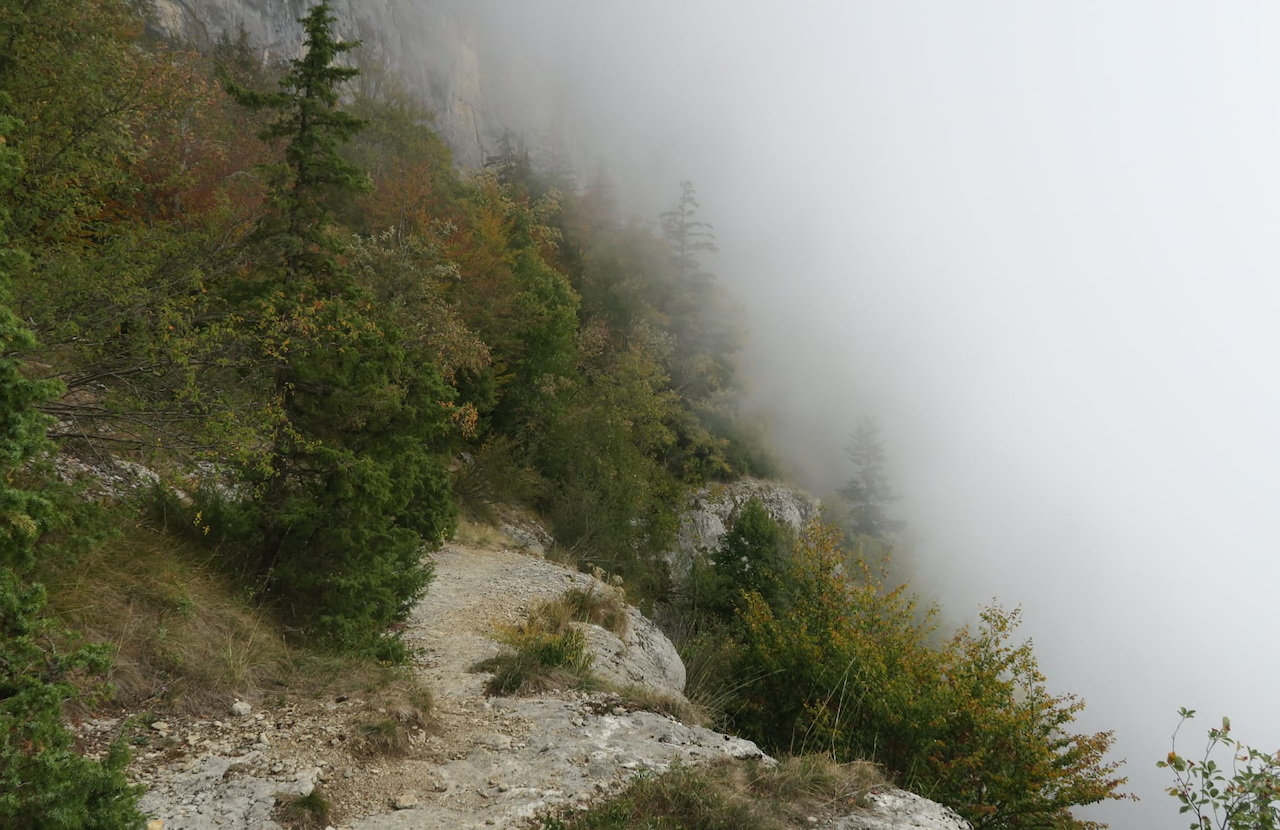 Photo de Vasseur(1)