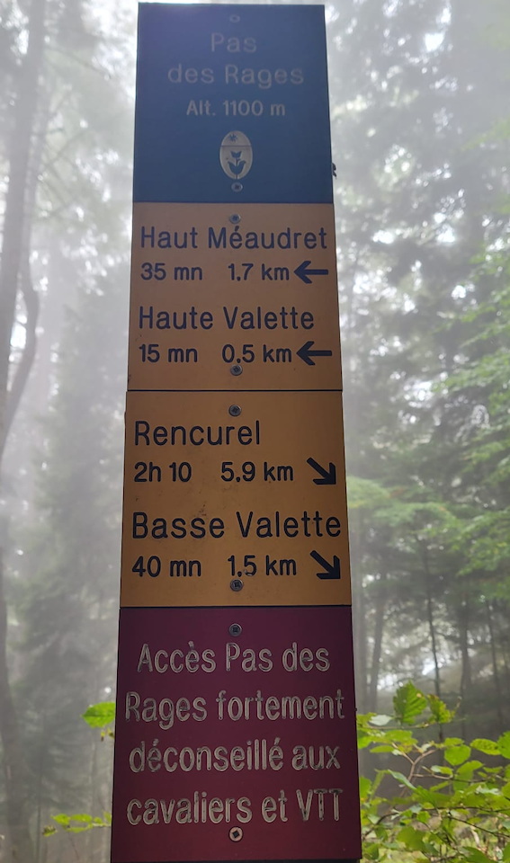Photo de Vasseur(10)