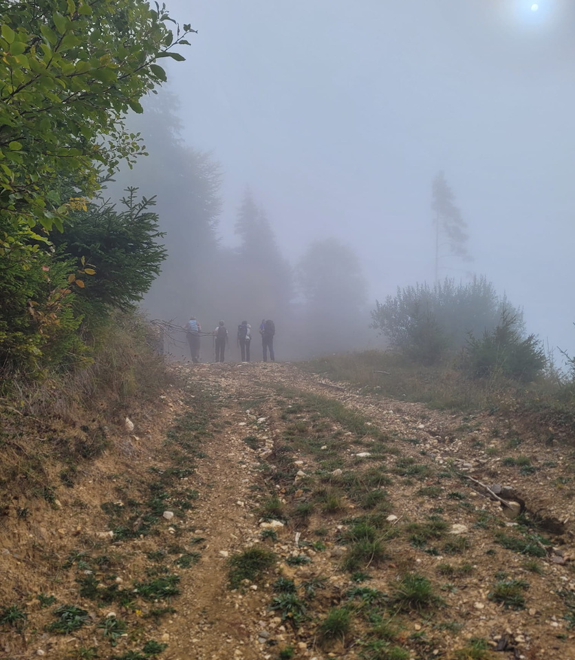 Photo de Vasseur(11)