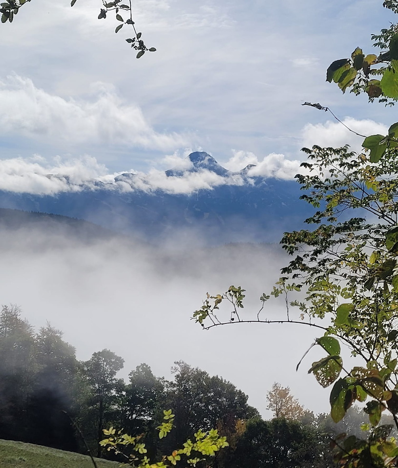 Photo de Vasseur(15)