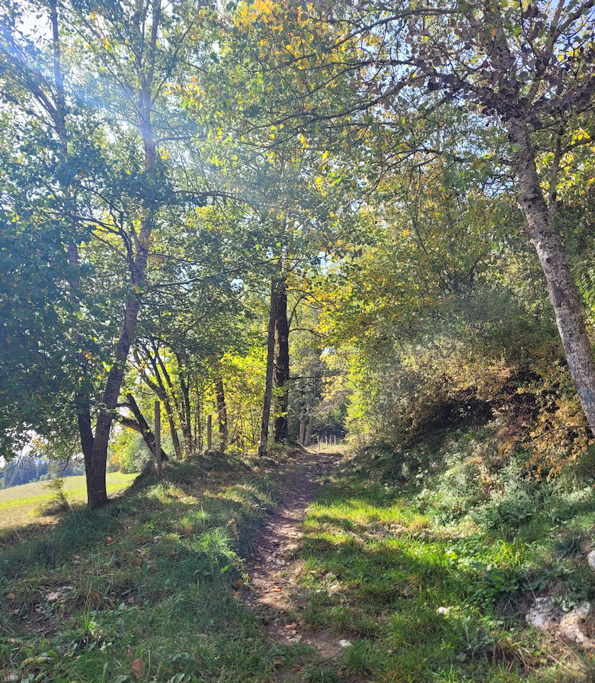 Photo de Vasseur(17)