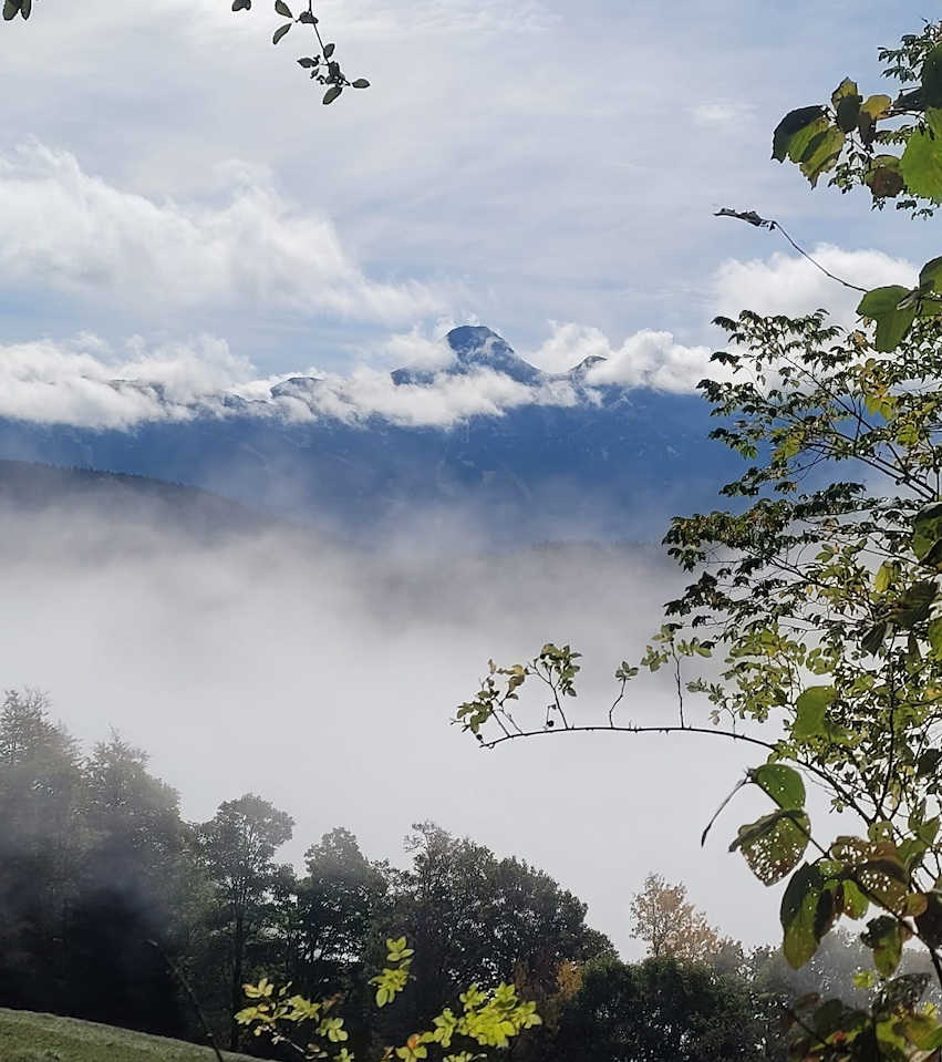 Photo de Vasseur(19)