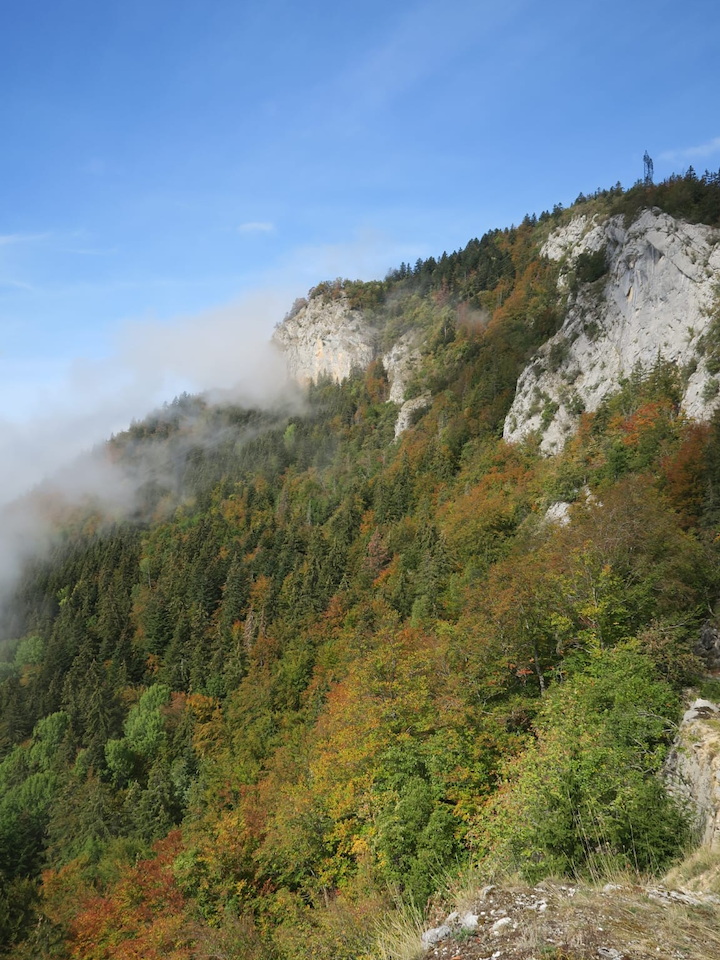 Photo de Vasseur(4)