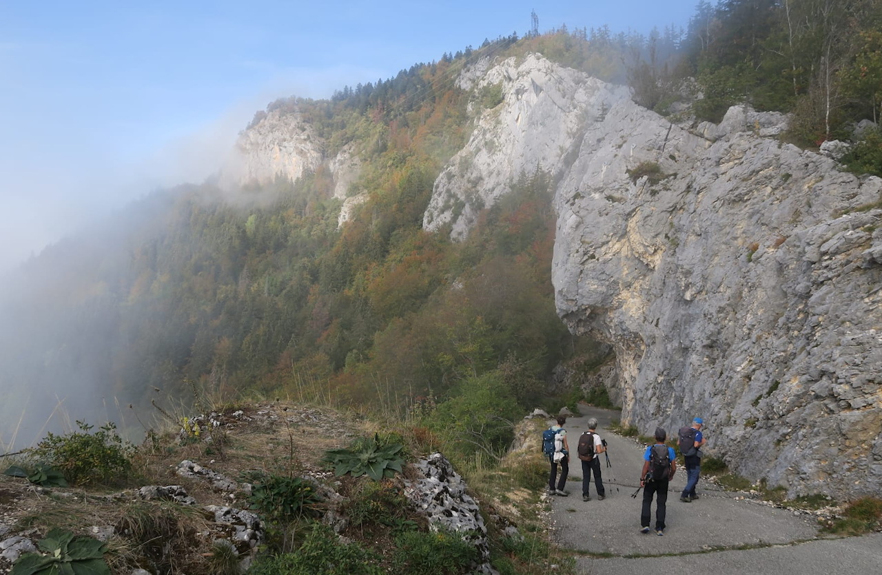 Photo de Vasseur(6)
