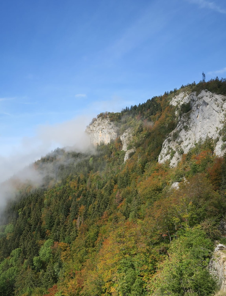 Photo de Vasseur(7)