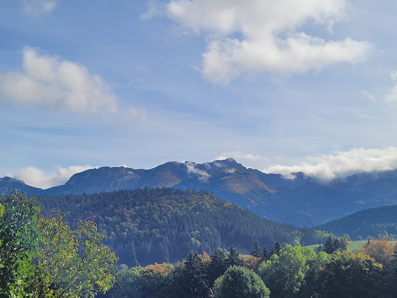 Photo de Vasseur(9)